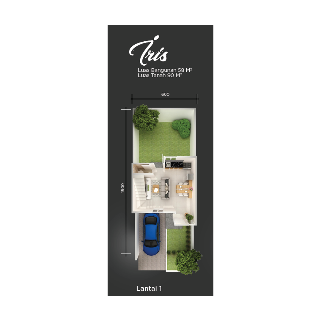 Layout Iris